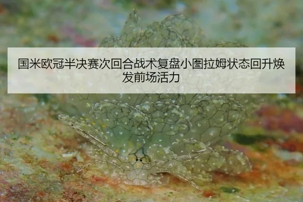 guo-mi-ou-guan-ban-jue-sai-ci-hui-he-zhan-shu-fu-pan-xiao-tu-la-mu-zhuang-tai-hui-sheng-huan-fa-qian-chang-huo-li-2-673.jpg