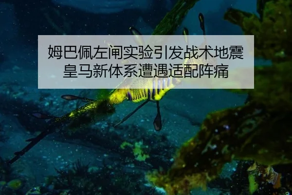 姆巴佩左闸实验引发战术地震 皇马新体系遭遇适配阵痛